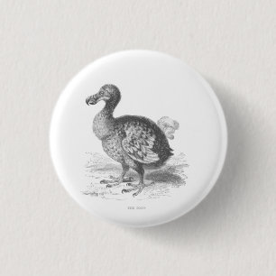 Bóton Redondo 2.54cm Pássaro Dodo