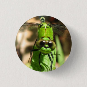 Bóton Redondo 2.54cm "Pin de Eco do dragão verde"