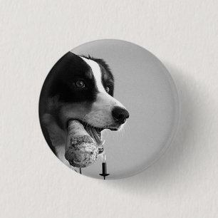 Bóton Redondo 2.54cm Pin do cão