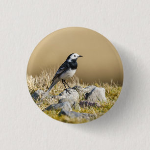 Bóton Redondo 2.54cm Posing Wagtail