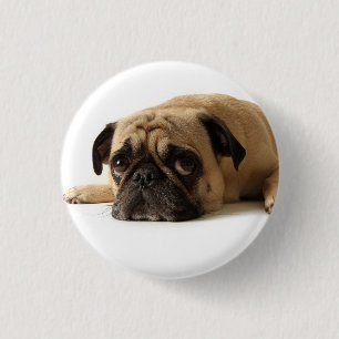 Bóton Redondo 2.54cm Pug Triste