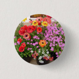 Bóton Redondo 2.54cm Rannunculus Primavera Bulbs Flor Flor