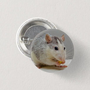 Bóton Redondo 2.54cm Rato cinzento e branco