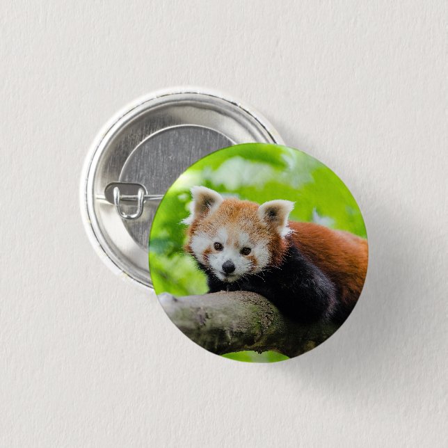 Bóton Redondo 2.54cm Red Panda (Frente & Verso)