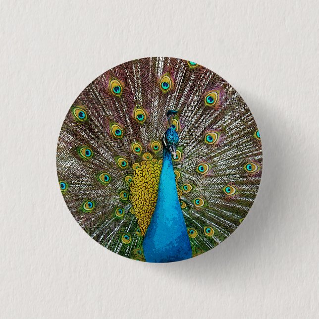 Bóton Redondo 2.54cm Regal Peacock com Penas Douradas e Teais (Frente)