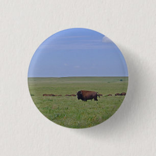 Bóton Redondo 2.54cm Reserva Nacional de Tallgrami Prairie - Kansas