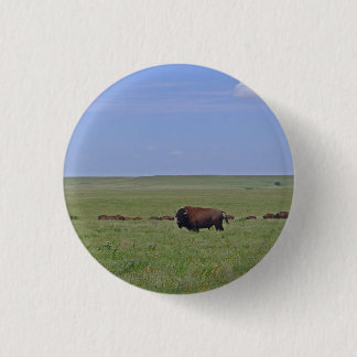 Bóton Redondo 2.54cm Reserva Nacional de Tallgramínea Prairie - Kansas