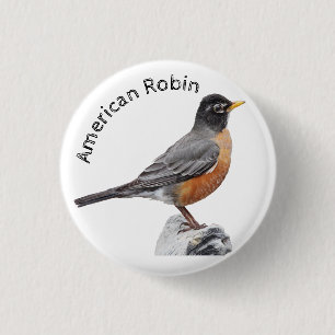 Bóton Redondo 2.54cm Robin Americano