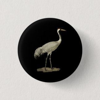 Bóton Redondo 2.54cm Sandhill Crane Antigo Canadensis Bird Referes Nem