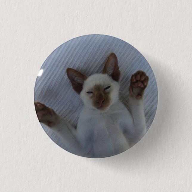 Bóton Redondo 2.54cm Siamese cat button (Frente)