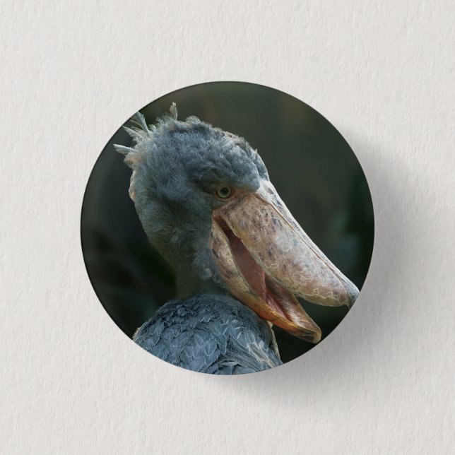 Bóton Redondo 2.54cm Smiling Shoebill (Frente)