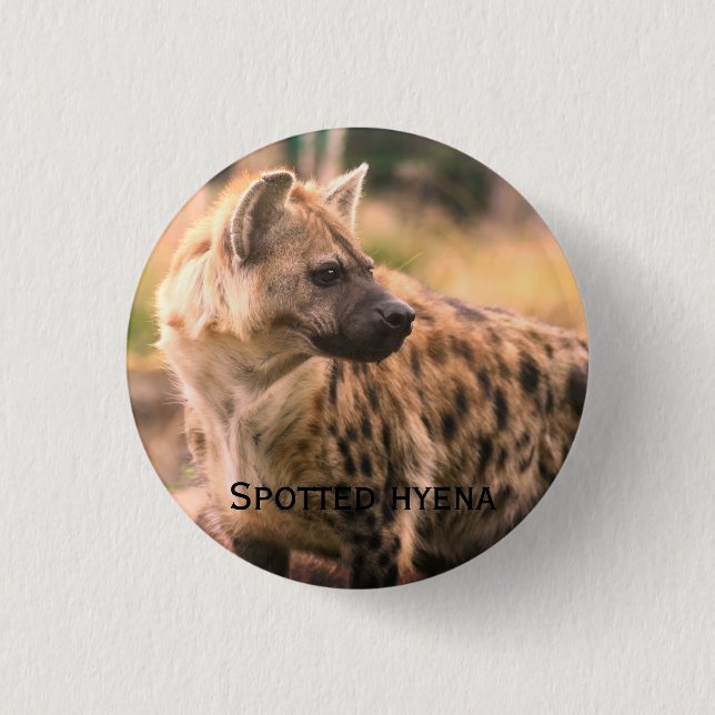 Bóton Redondo 2.54cm Spotted hyena：Savannah sunset (Frente)