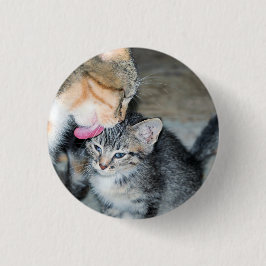 Bóton Redondo 2.54cm Tempo de banho