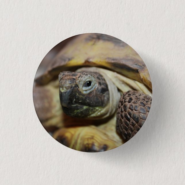 Bóton Redondo 2.54cm Tibbs (Frente)