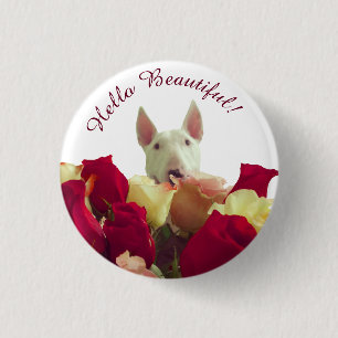 Bóton Redondo 2.54cm Touro terrier com saudação de rosas - Olá Bela
