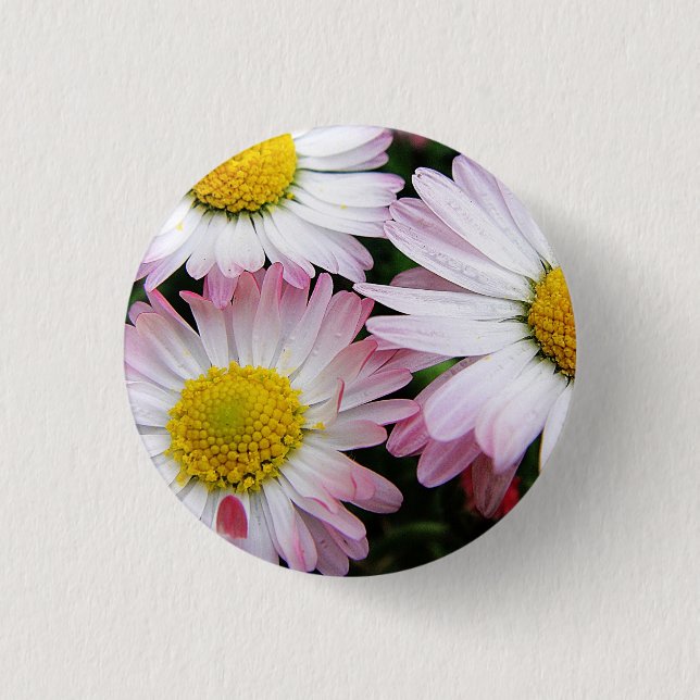 Bóton Redondo 2.54cm Três margaridas rosa e branca (Frente)