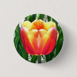 Bóton Redondo 2.54cm Tulip