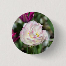 Tulipas cor-de-rosa brilhantes num dia ensolarado