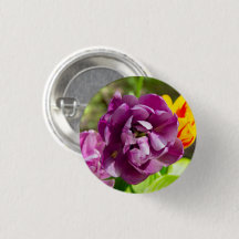 Tulipas lilás num dia ensolarado