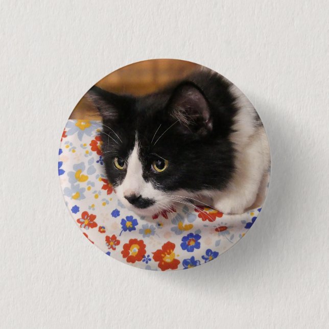 Bóton Redondo 2.54cm Tuxedo Cat (Frente)