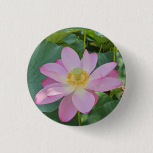 Bóton Redondo 2.54cm Uma flor de lótus vibrante