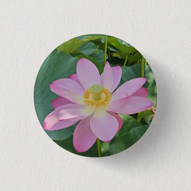 Bóton Redondo 2.54cm Uma flor de lótus vibrante (Frente)