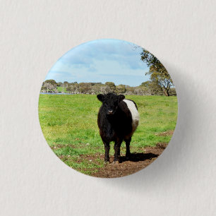 Bóton Redondo 2.54cm Vaca Galloway, Chave Ring