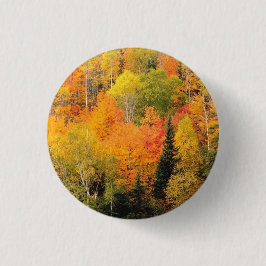 Bóton Redondo 2.54cm Vale do Foliage