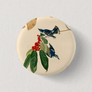 Bóton Redondo 2.54cm Vintage Audubon Cerulean Warbler - Pintura de pás