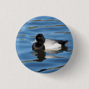 Bóton Redondo 2.54cm Wildlife Black and White Duck Foto Scaup
