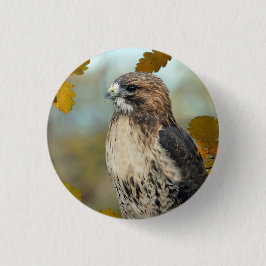 Bóton Redondo 2.54cm Wildlife Red Tailed Hawk Autumn Photo