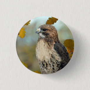 Bóton Redondo 2.54cm Wildlife Red Tailed Hawk Autumn Photo