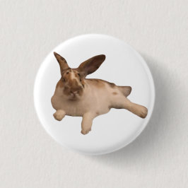 Bóton Redondo 2.54cm Zesty Paddy Crachá