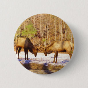 Bóton Redondo 5.08cm 2~ 2 Bull Elk na neve