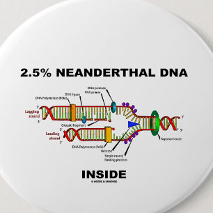 Bóton Redondo 5.08cm 2,5% de Dentro de ADN Neandertal (Replicação de AD