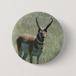 Bóton Redondo 5.08cm A13 Pronghorn Antelope