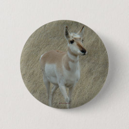 Bóton Redondo 5.08cm A17 Antilope Pronghorn