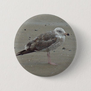 Bóton Redondo 5.08cm A gaivota original está apenas no pássaro do