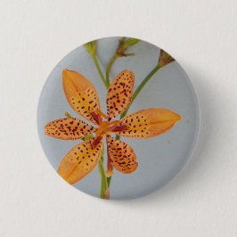 Bóton Redondo 5.08cm A Iris, avistada por laranja, chamava-se Lily Blac