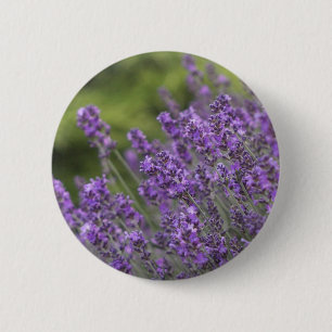 Bóton Redondo 5.08cm A lavanda bonito coloca o botão