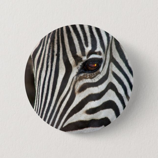 Bóton Redondo 5.08cm A zebra de Chapman (Frente)