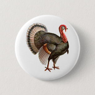 BÓTON REDONDO 5.08CM ACÇÃO DE GRAÇAS TURQUIA