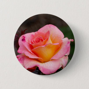 Bóton Redondo 5.08cm Adorável pino Rosa