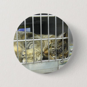 Bóton Redondo 5.08cm Adote um botão 001 do gato