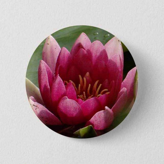 Bóton Redondo 5.08cm Água rosa (Frente)