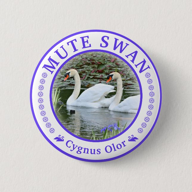 Bóton Redondo 5.08cm Alfinete de lata de cisne mudo (Frente)
