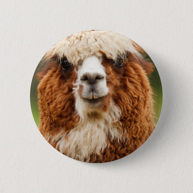 Bóton Redondo 5.08cm Alpaca (Frente)