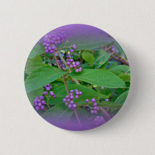 Bóton Redondo 5.08cm Amarela Americana (americana Callicarpa)