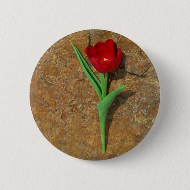 Bóton Redondo 5.08cm amarelo e Red Tulip (Frente)