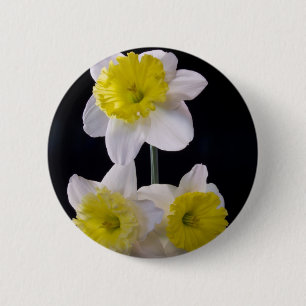 Bóton Redondo 5.08cm Amarelo no Daffodil Branco